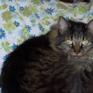 Meet your Posher, Pat